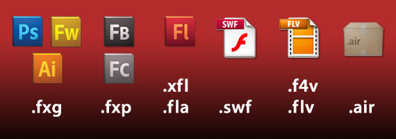 What the Flash file exensions