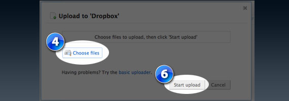 Dropbox Steps 4 and 6